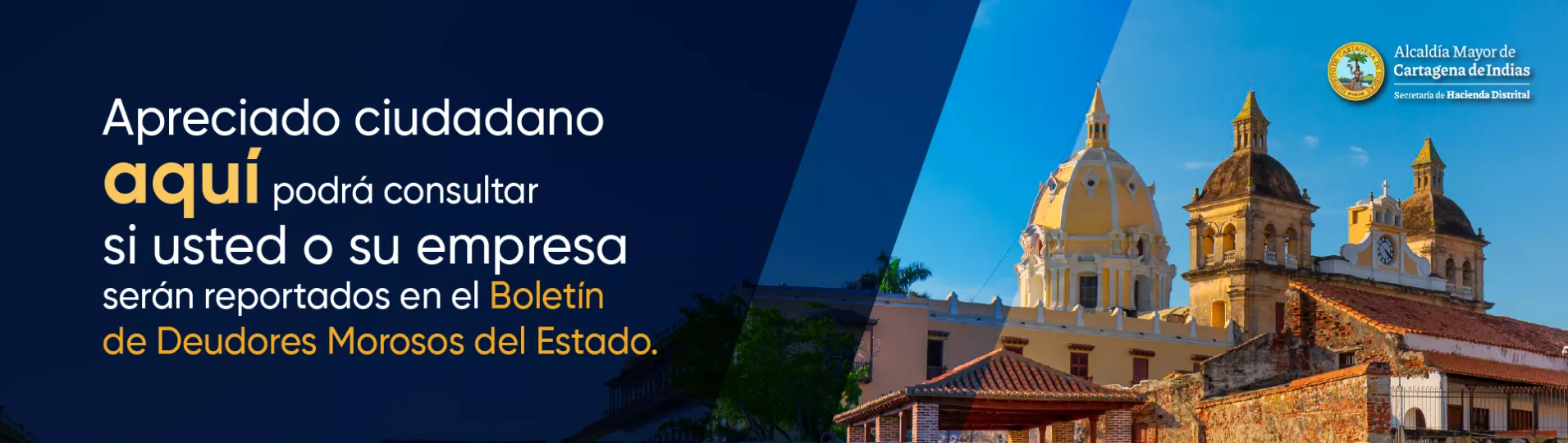 Banner Boletín de Deudores Morosos del Estado