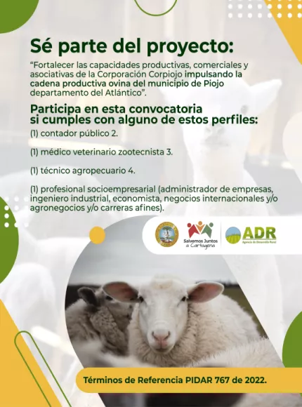 términos de referencia pidar