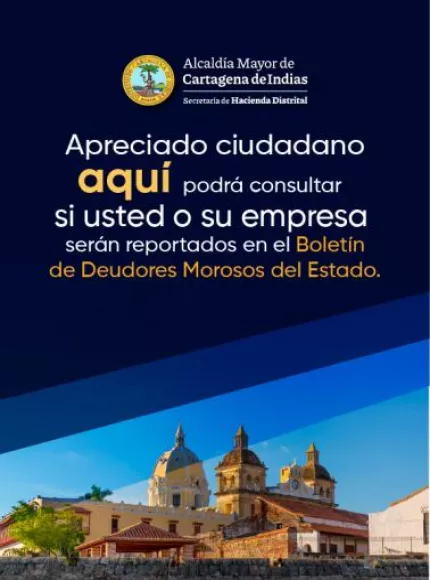 banner móvil Boletin Deudores