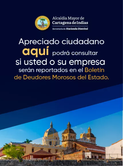 Banner móvil Boletín de Deudores Morosos del Estado