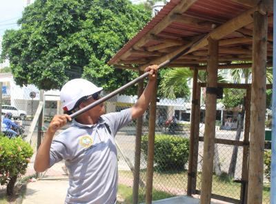 Recuperación Parque Flanagan