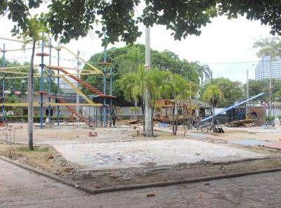 Recuperación Parque Flanagan