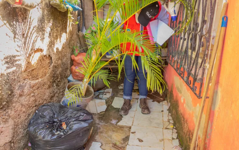 Los casos de muerte por dengue se encuentran en estudio