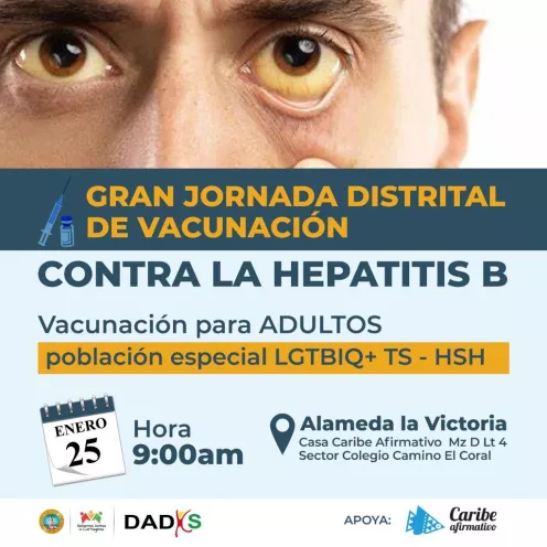 La vacuna contra la hepatitis B ofrece inmunidad de por vida. 