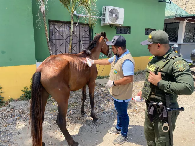 Este rescate fue posible gracias a la colaboración de la ciudadanía