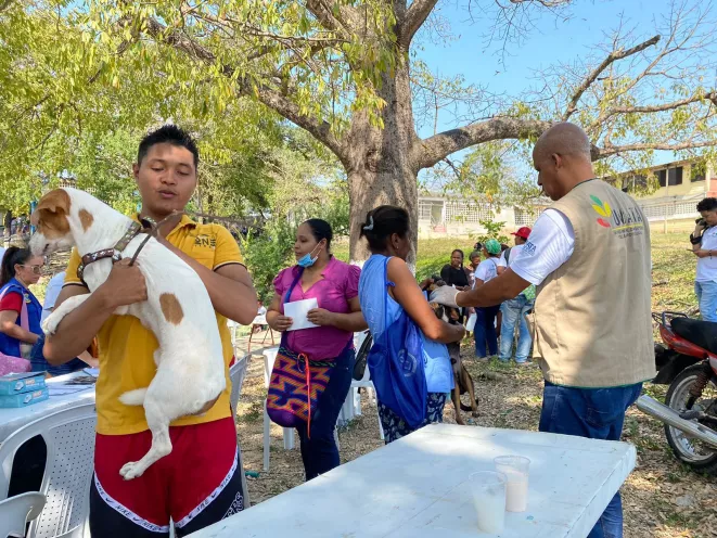 En cumplimiento del programa de Protección y Bienestar Animal 