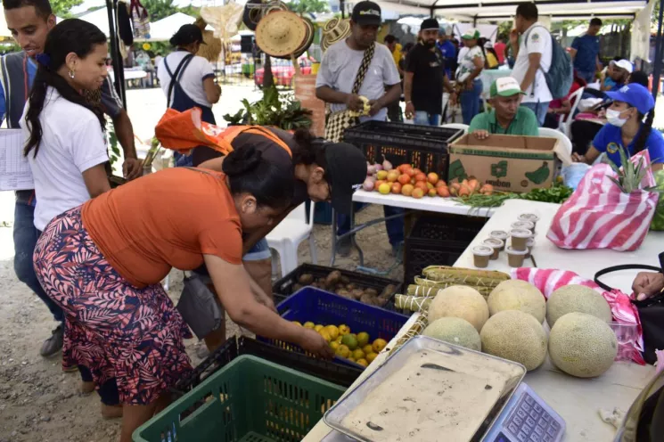 Mercado Campesino