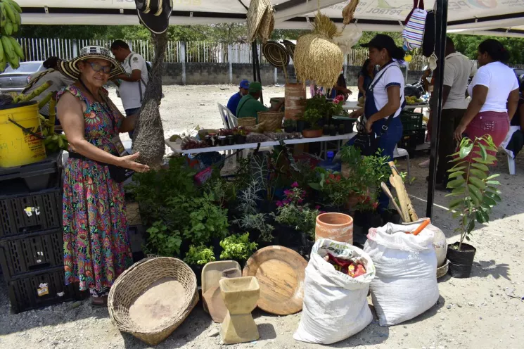 Mercados Campesinos