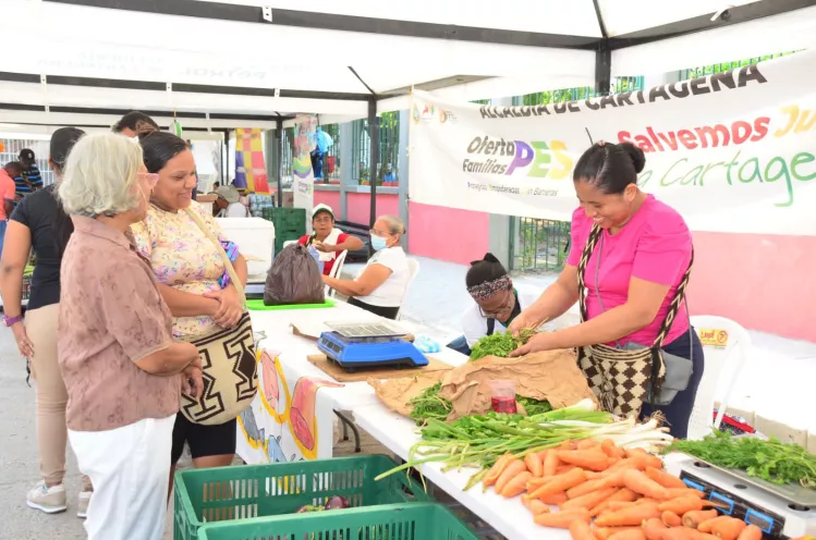 Mercados Campesinos