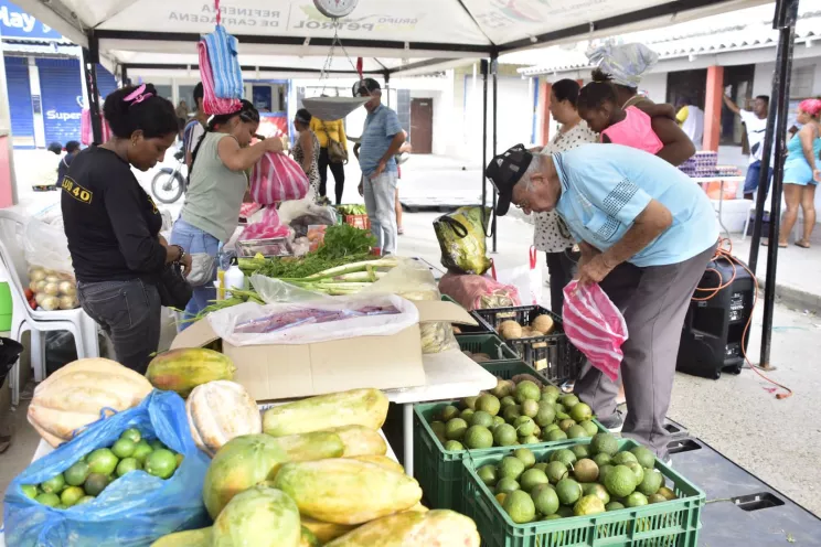 Mercados Campesinos