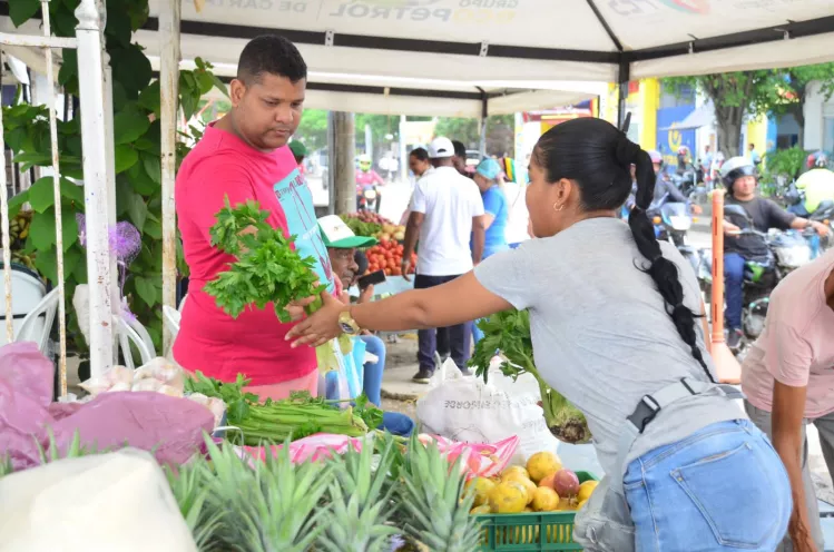 Mercados Campesinos