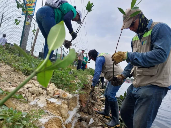 EPA Cartagena