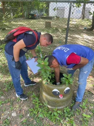 En Cartagena se han registrado un total de 1.705 casos de dengue