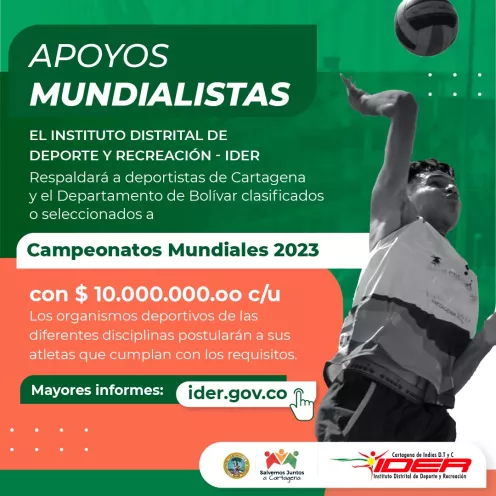 PADAL MUNDIAL