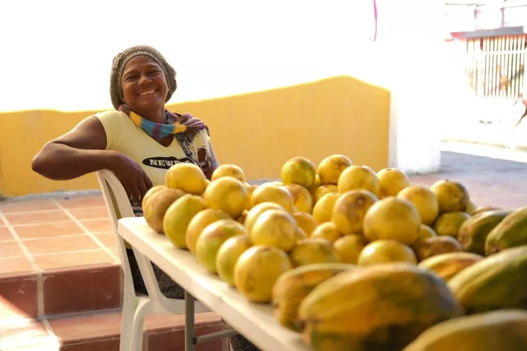 Mercados Campesinos