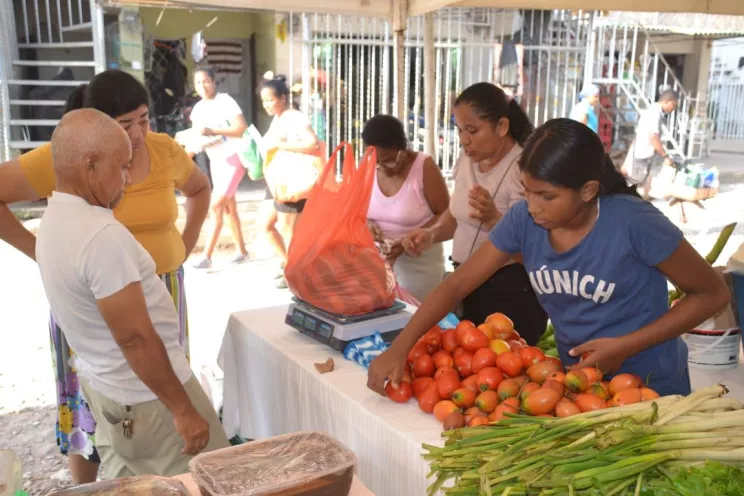 Más de 17 mil personas se beneficiaron con productos frescos, nutritivos y económicos