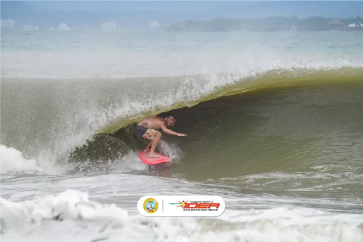 Surfistas