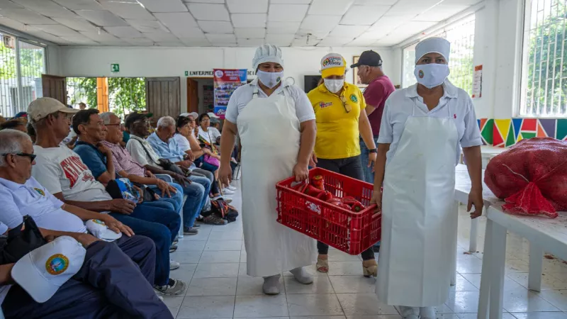 Alimentos