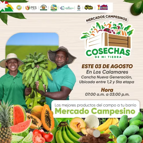 Mercado 5