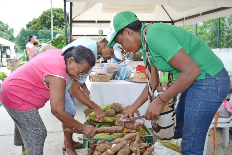 Mercados campesinos 3