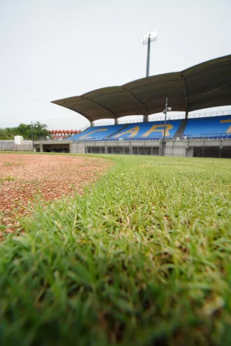 Estadio 