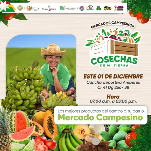 Cosecha