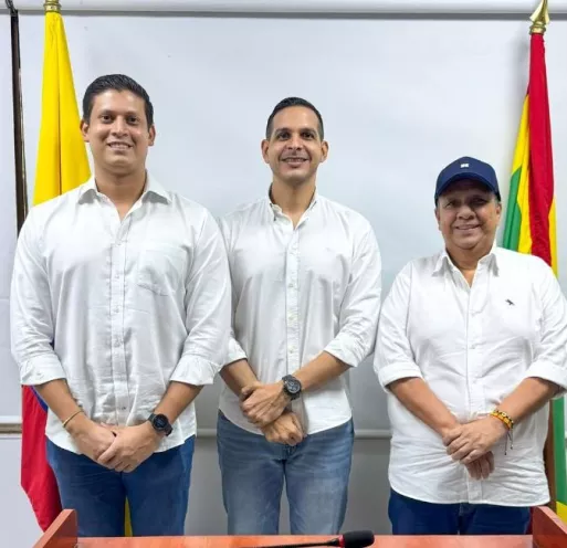 Alcaldia Local 1