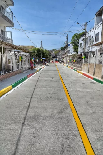 Calle nuevo bosque 