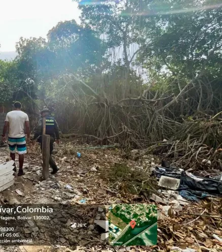 Lucha Contra la Tala Ilegal en La Boquilla: Acciones para Proteger Nuestros Ecosistemas