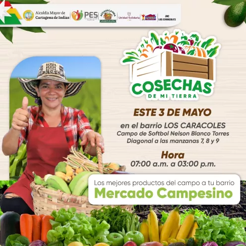 Mercado campesino 
