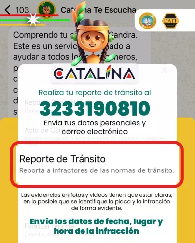 Catalina 