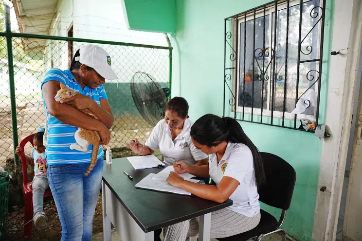 Esterilización 