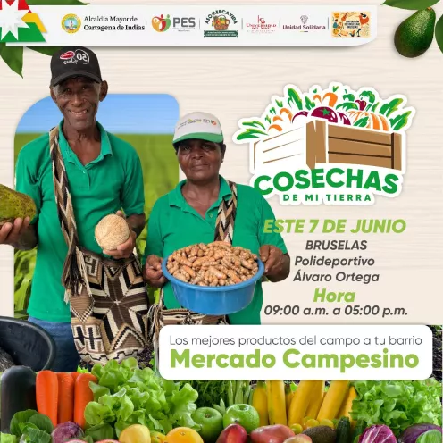 Mercado campesino 