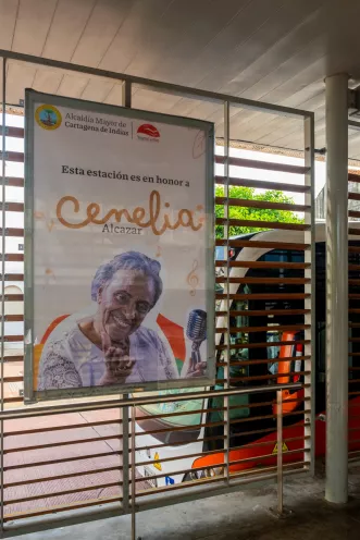 Cenelia 