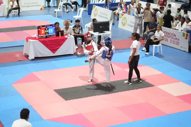 Taekwondo