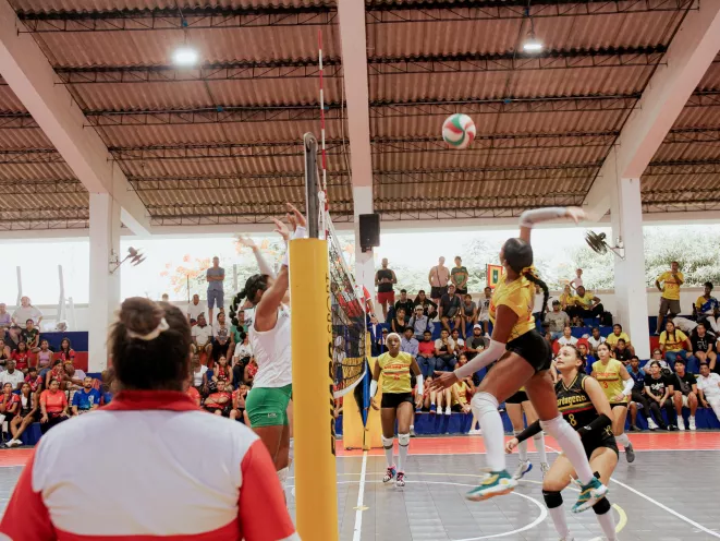 Voleibol 