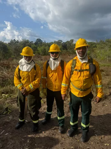 Bomberos 