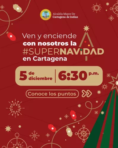 NAVIDAD 2025