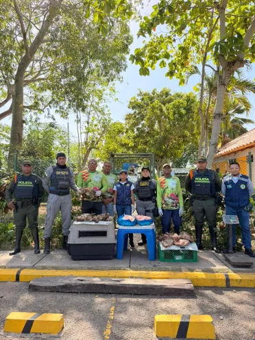 Operativo animales silvestres