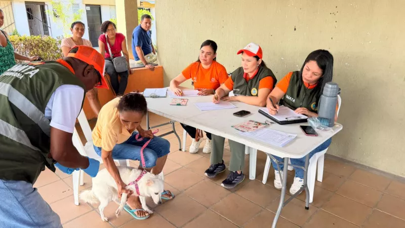 Jornada de esterilización
