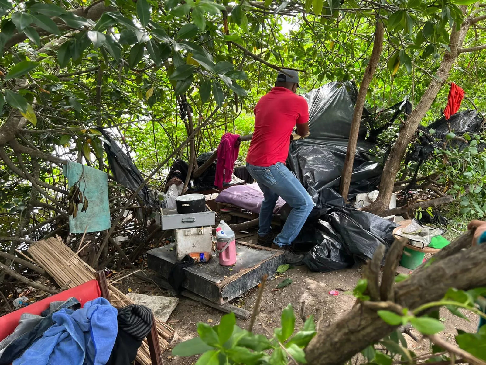 Ecobloque recupera zona de manglar y orillas de Caño 