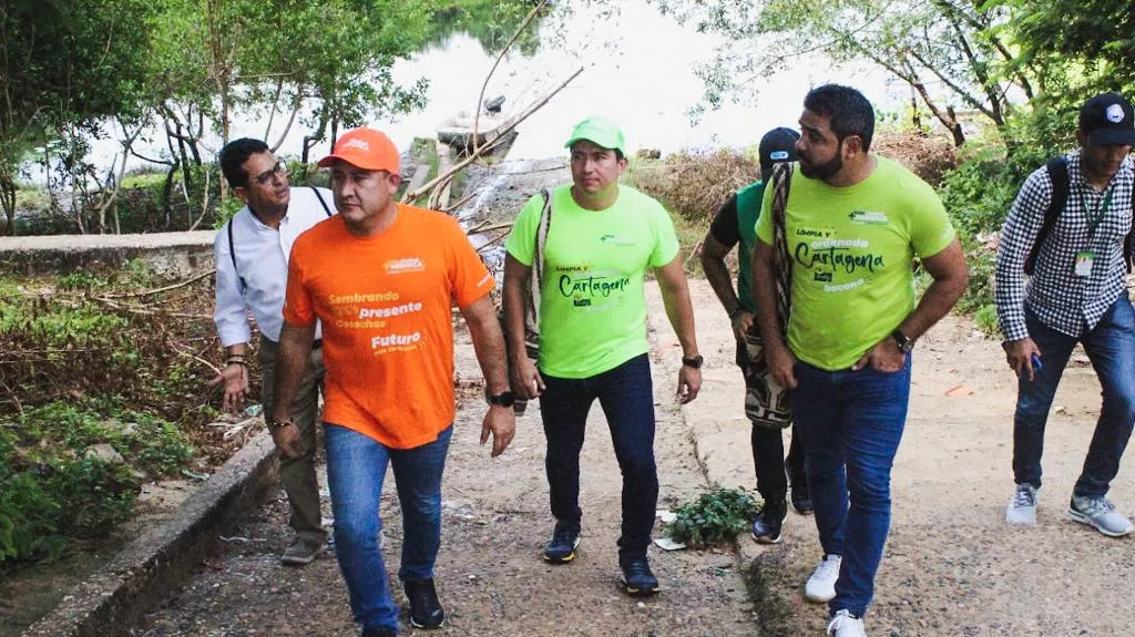 Alcaldía de Cartagena sembrará más de 50 hectáreas de manglar en Puerto Badel