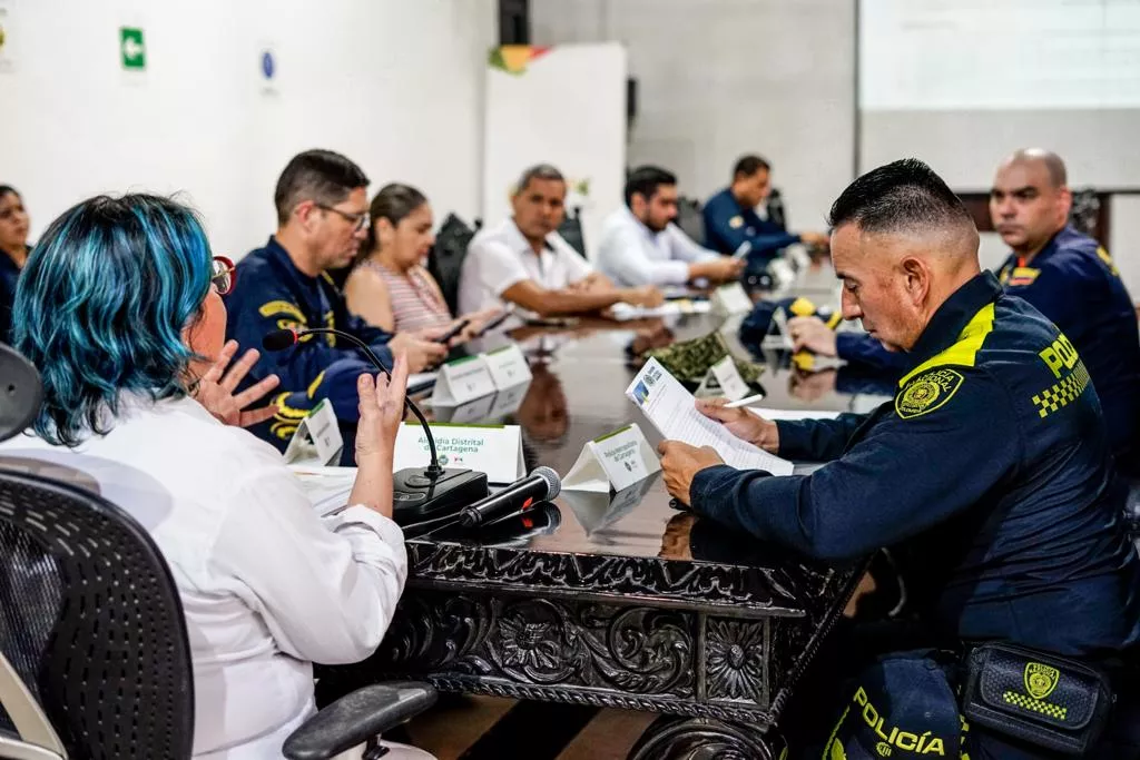 Consejo Distrital de Seguridad