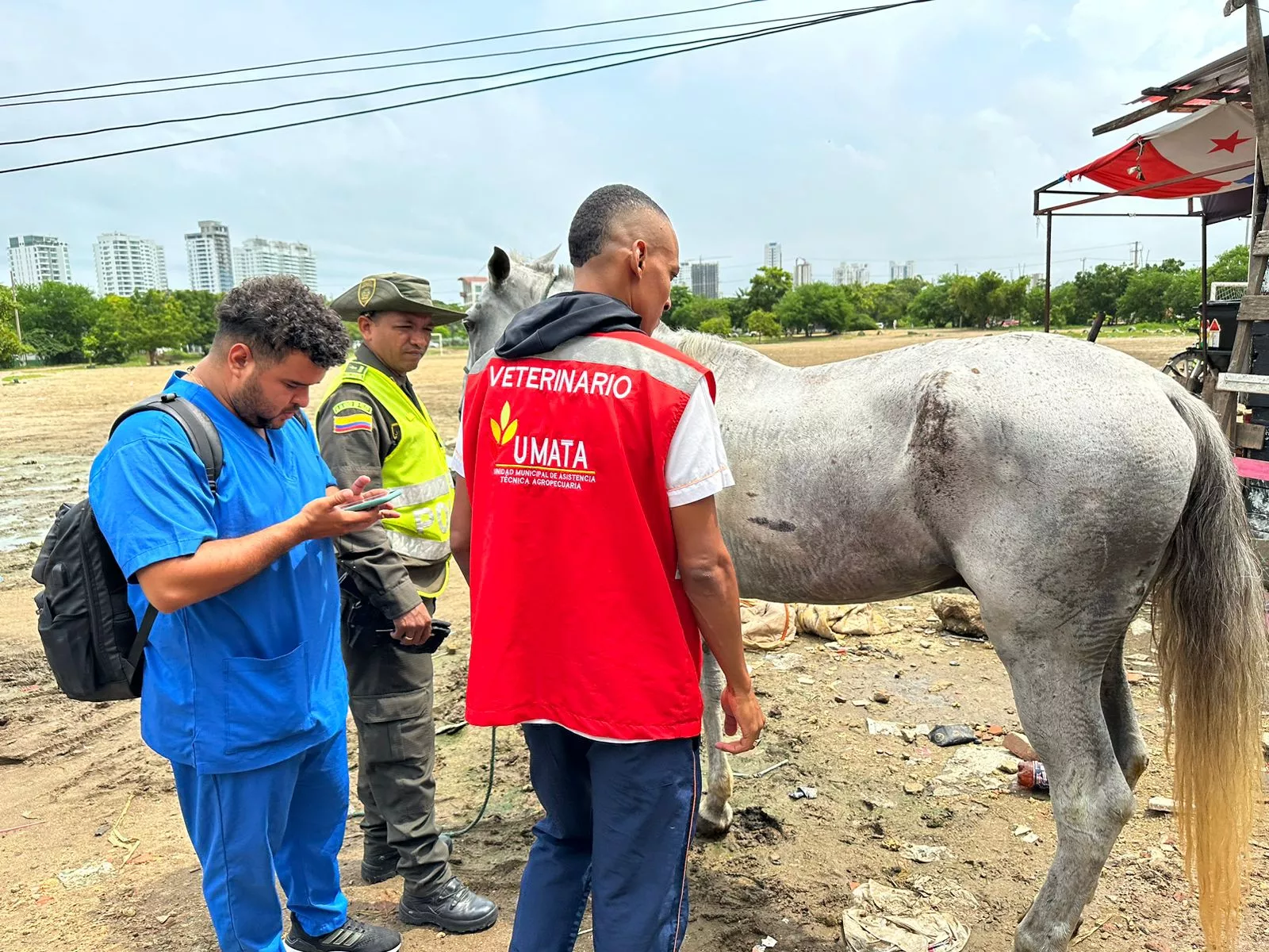 La inspección fue realizada en la pesebrera de Chambacú