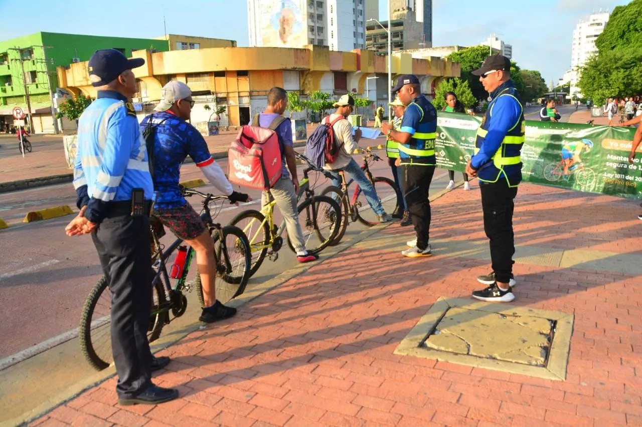 seguridad vial