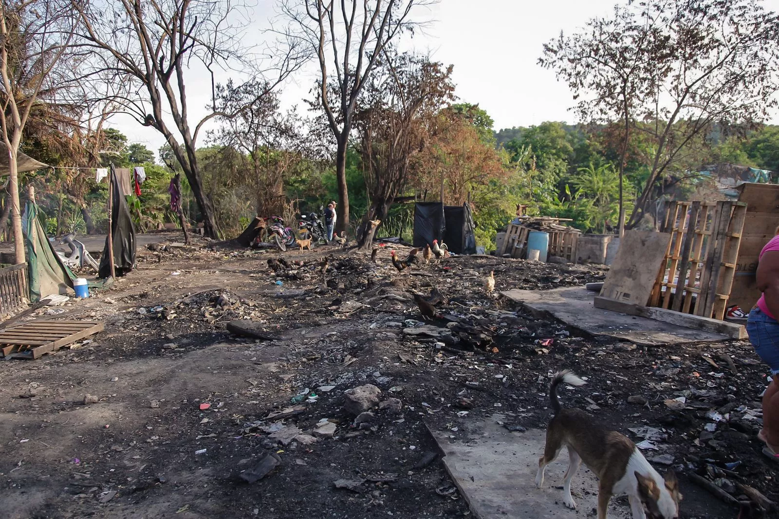 Incendio Henequen