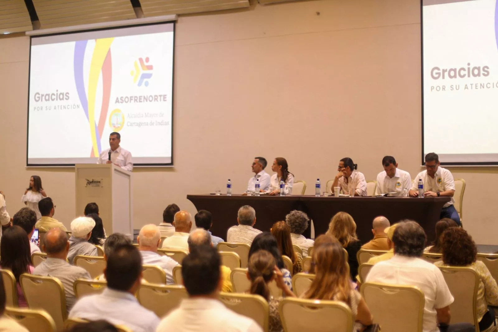 Zona Norte