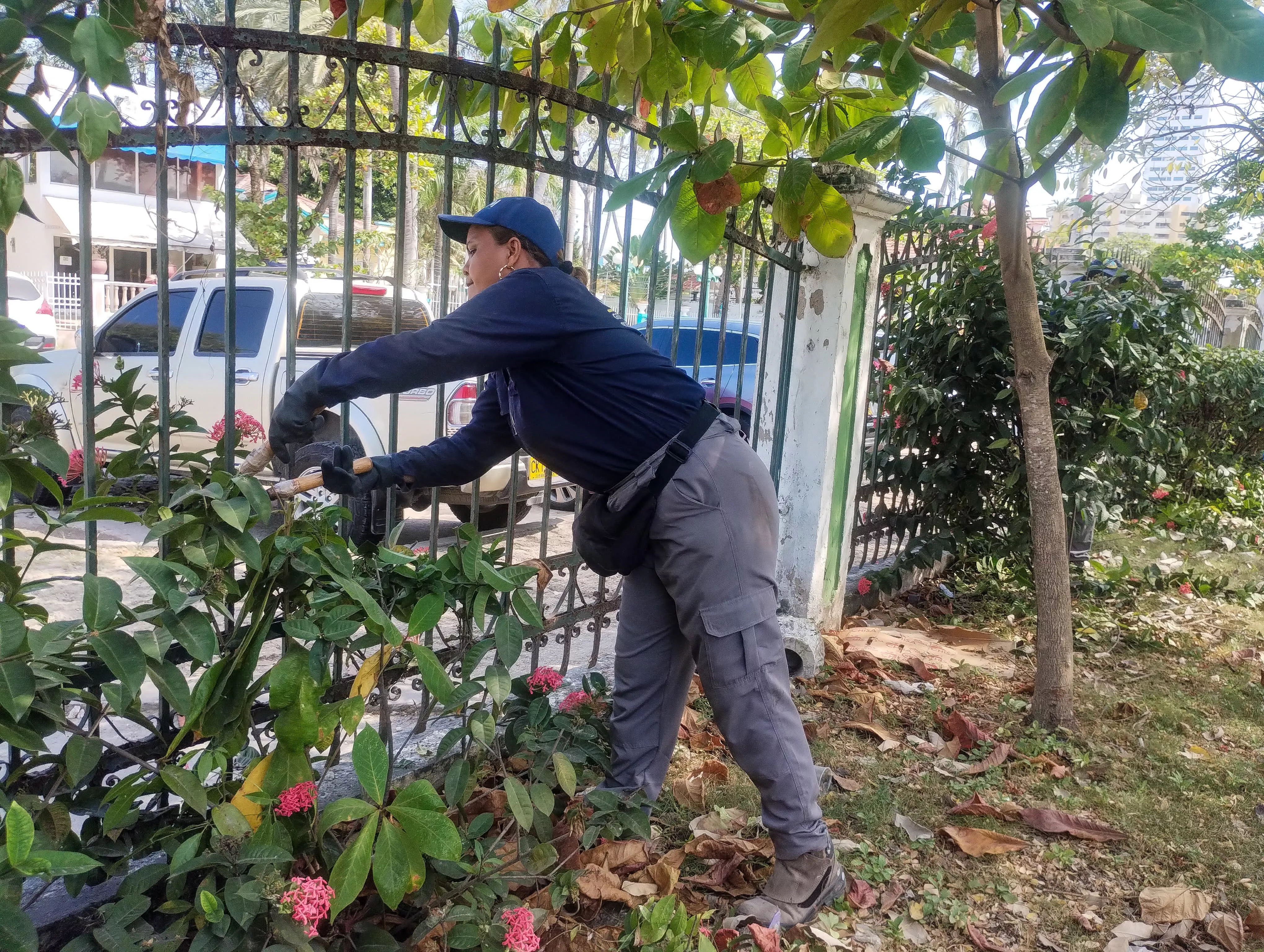 Revitalización Parque Apolo