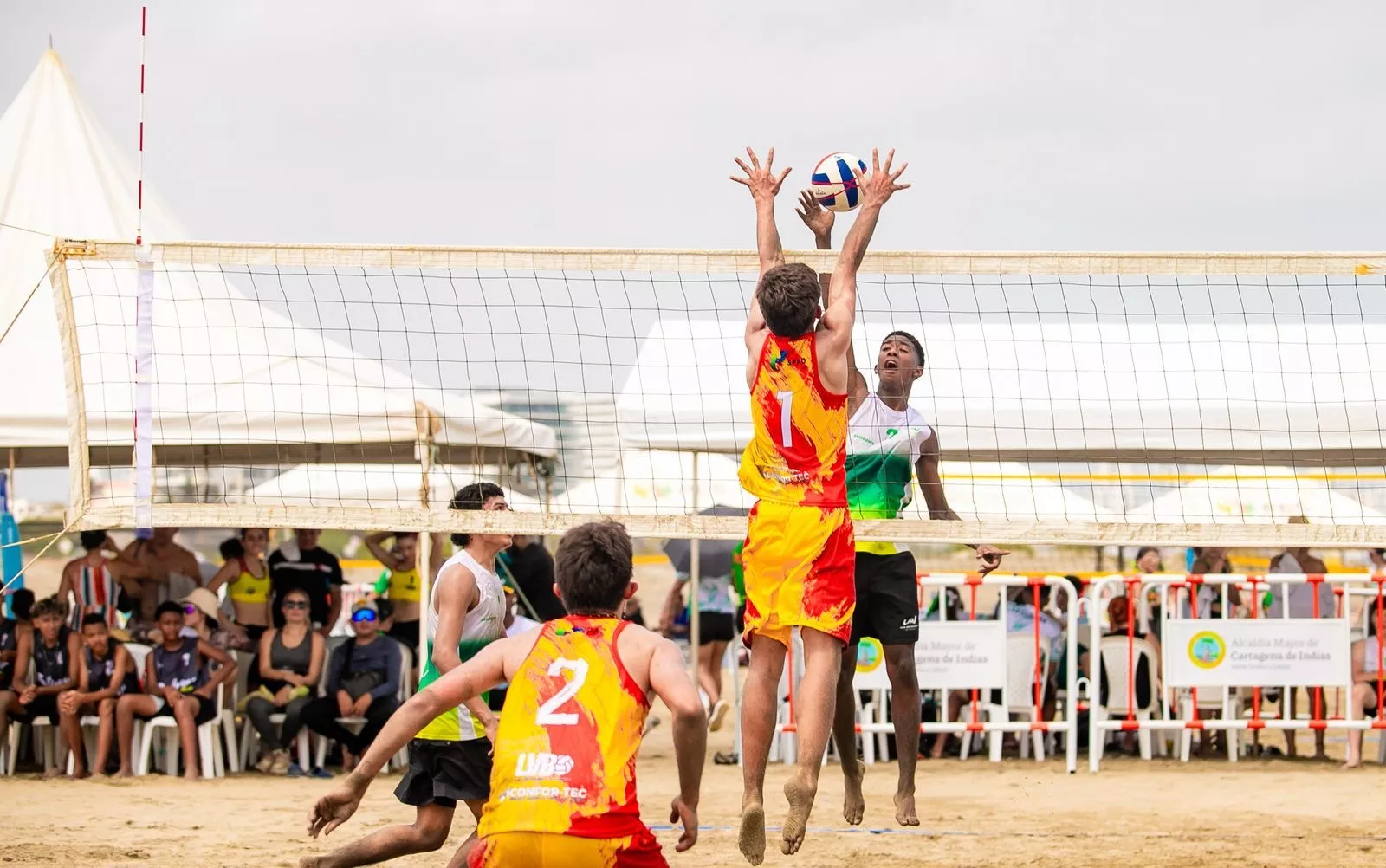Voleibol 