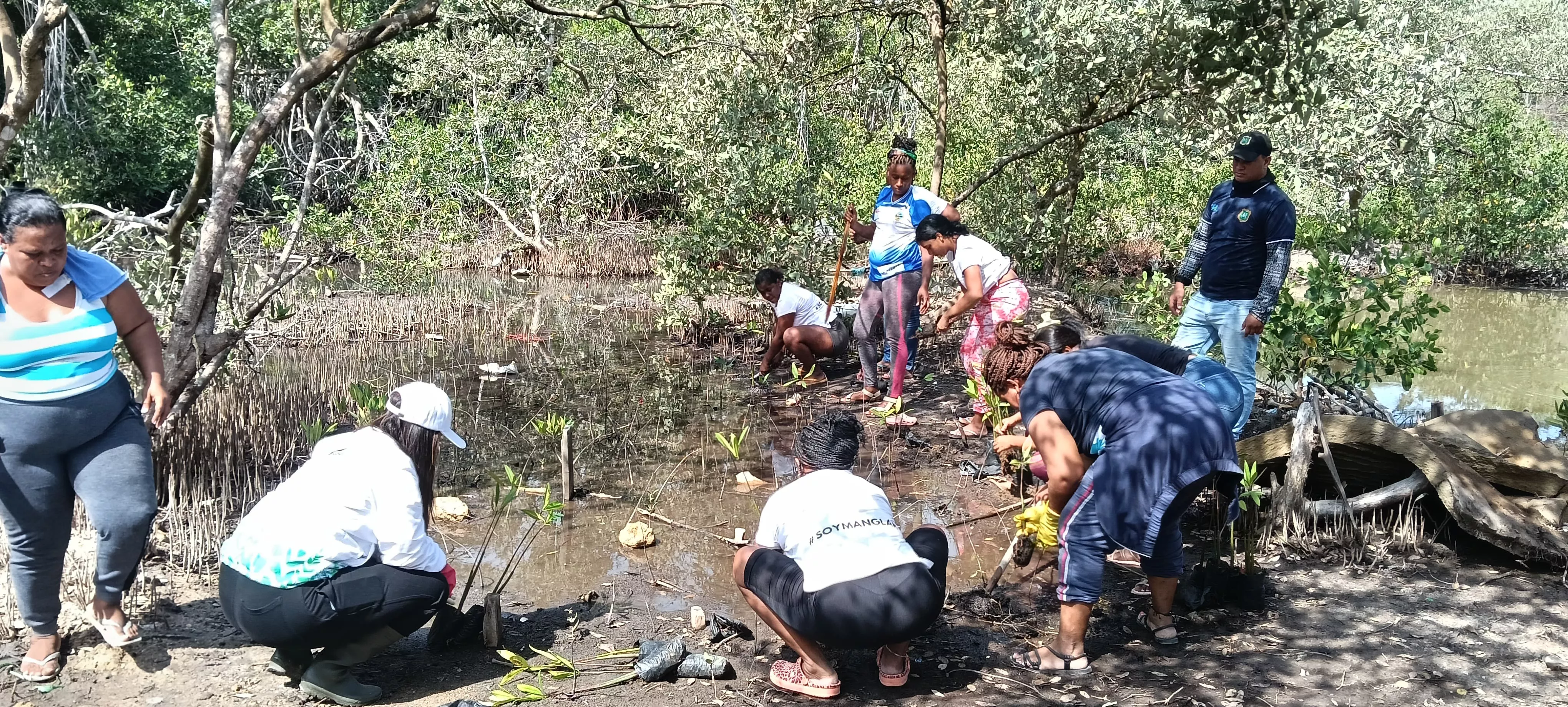 Celebramos el Día de la Tierra con Acción y Compromiso en La Boquilla y Olaya Herrera